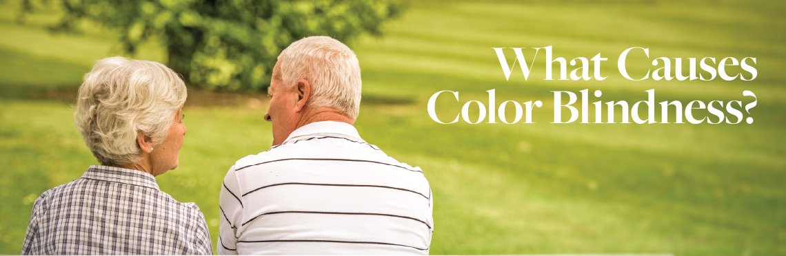 An elderly couple sitting on a park bench with the caption "what causes color blindness?"