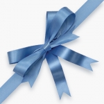 blue gift bow