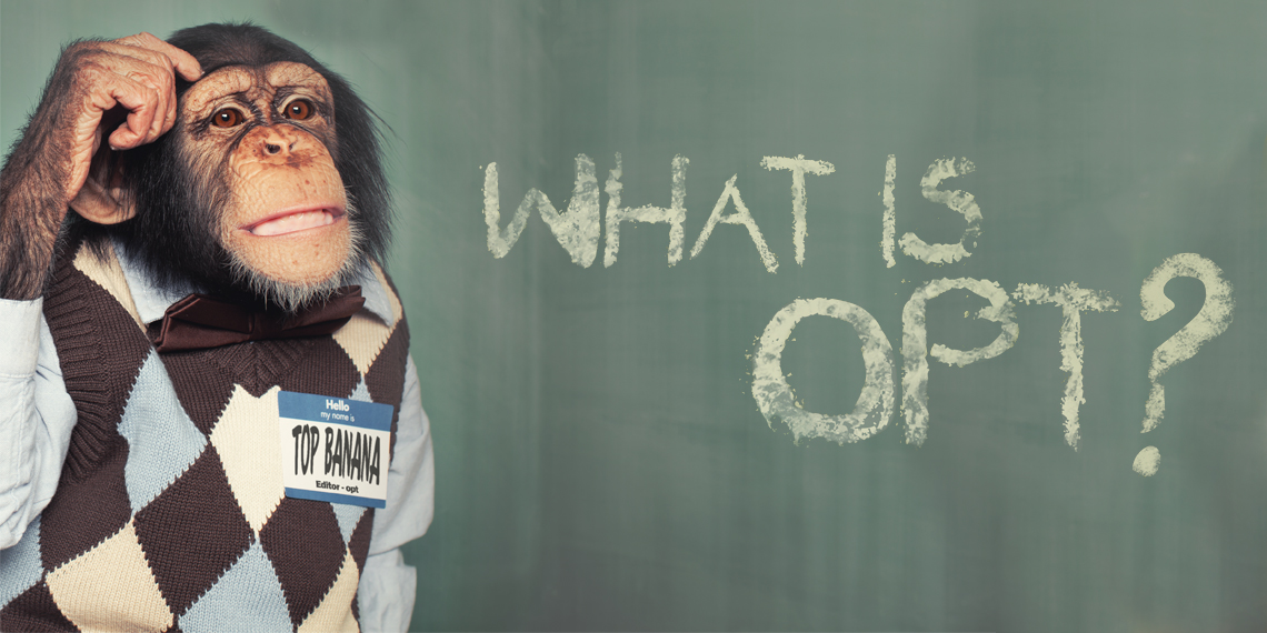 Hero image for article "What is OPT? - The Philosophy of OPT". A monkey in a sweater scathing his head.